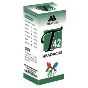 T42  سر درد  Headache